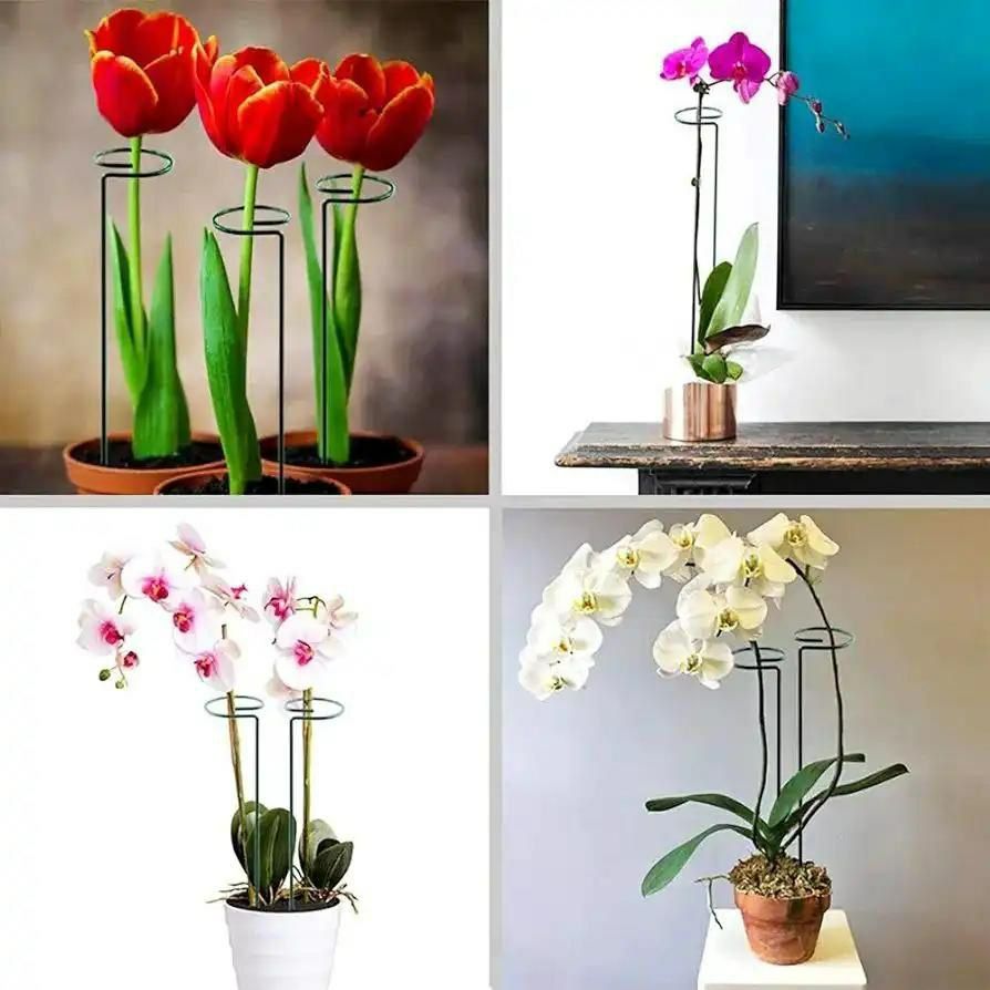 پایه نگهدارنده گل و گیاه بسته 6 عددی